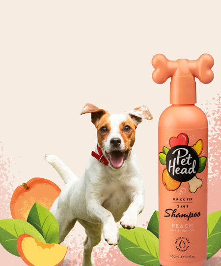       Pet-head-shampoing-pour-chien-shampoing-peche-Pet-Head-300-ml