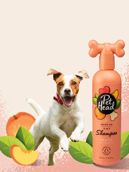       Pet-head-shampoing-pour-chien-shampoing-peche-Pet-Head-300-ml