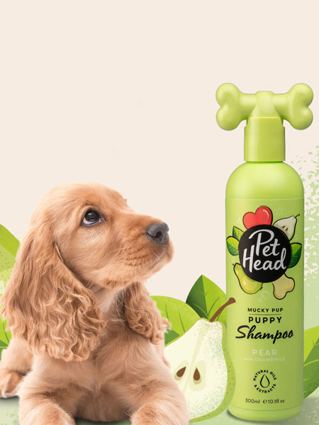 Pet-head-shampoing-pour-chiot-Spray-shampoing-peche-Pet-Head-300ml