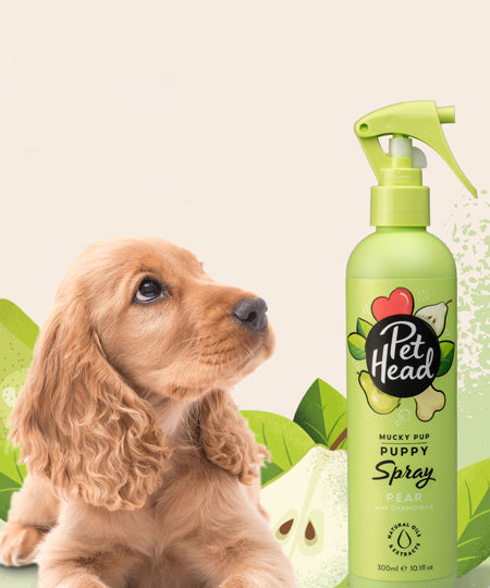 Pet-head-shampoing-pour-chiot-Spray-shampoing-peche-Pet-Head-300ml