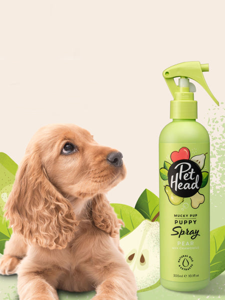 Pet-head-shampoing-pour-chiot-Spray-shampoing-peche-Pet-Head-300ml