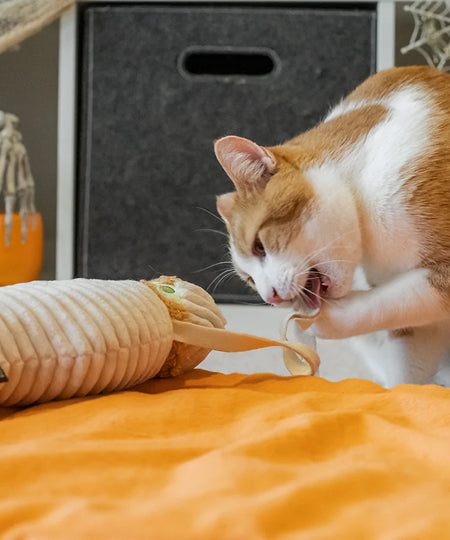 Pet-play-jouet-peluche-chat-Halloween-Kicker-momie