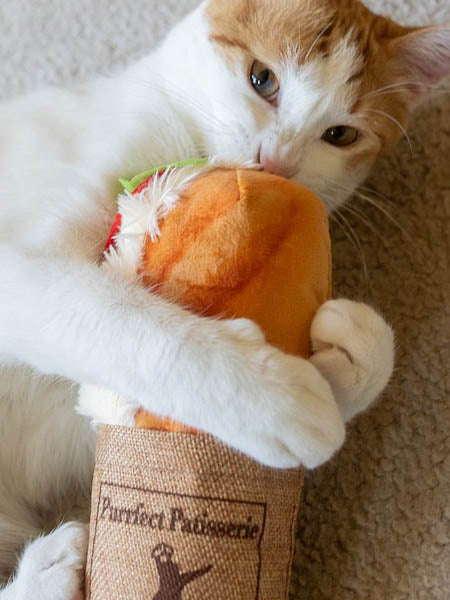     Pet-play-jouet-peluche-chat-kicker-baguette