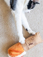     Pet-play-jouet-peluche-chat-kicker-baguette