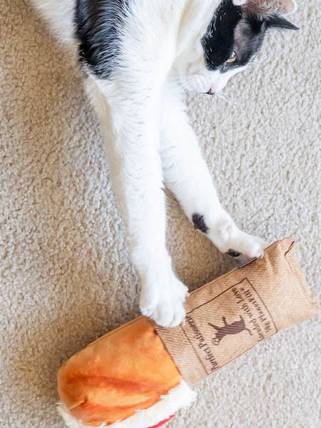     Pet-play-jouet-peluche-chat-kicker-baguette