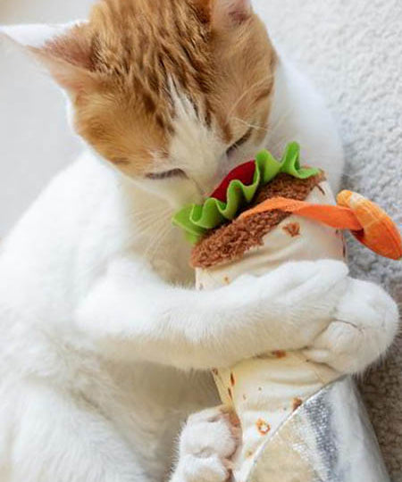 Pet-play-jouet-peluche-chat-kicker-purrito