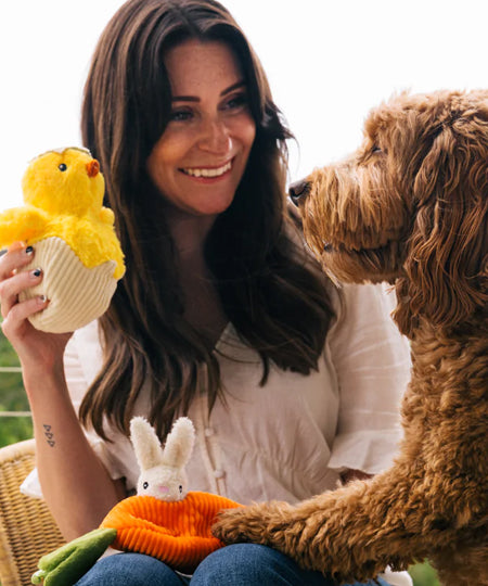     Pet-play-jouet-peluche-chien-Hippity-Hoppity-chick-me-out