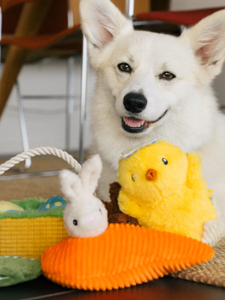       Pet-play-jouet-peluche-chien-Hippity-Hoppity-Funny-Bunnies