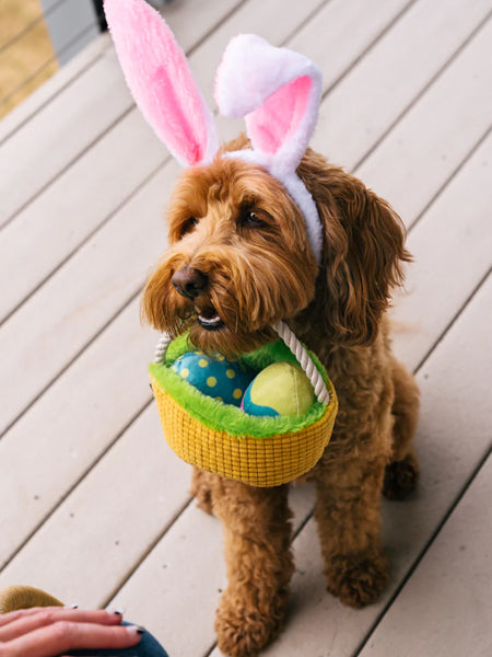     Pet-play-jouet-peluche-chien-Hippity-Hoppity-Eggs-cellent-Basket