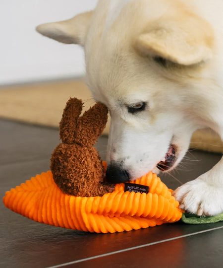     Pet-play-jouet-peluche-chien-Hippity-Hoppity-Funny-Bunnies
