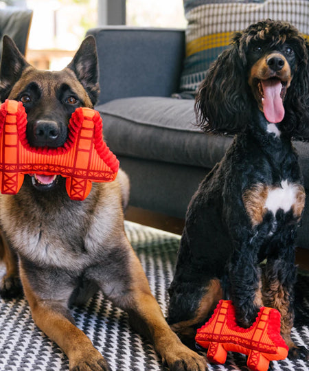         Pet-play-jouet-peluche-chien-Totally-Touristy-pont-san-francsico