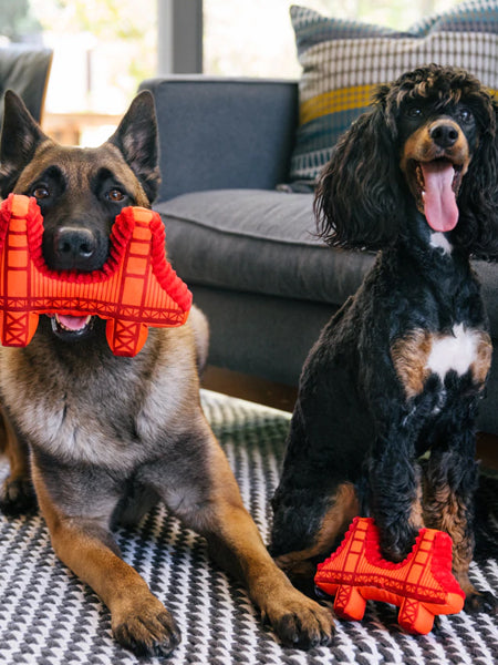         Pet-play-jouet-peluche-chien-Totally-Touristy-pont-san-francsico