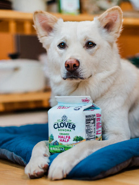     Pet-play-jouet-peluche-chien-brique-lait-bio-clover