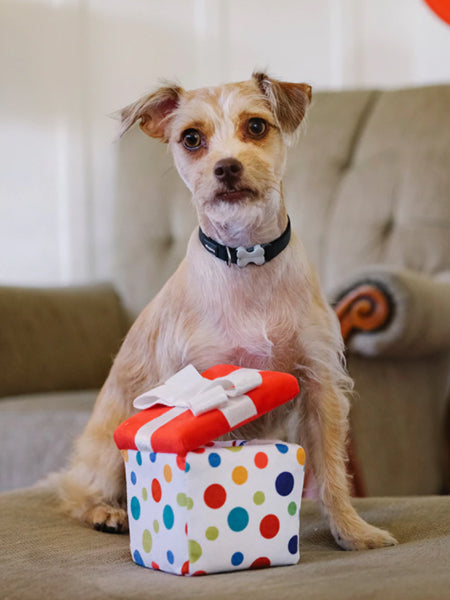        Pet-play-jouet-peluche-chien-cadeau-anniversaire