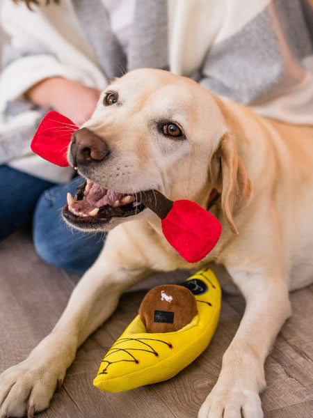Pet-play-jouet-peluche-chien-camp-k9-kayak