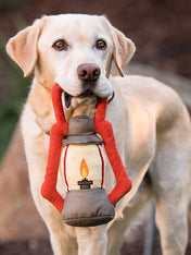 Pet-play-jouet-peluche-chien-camp-lantern