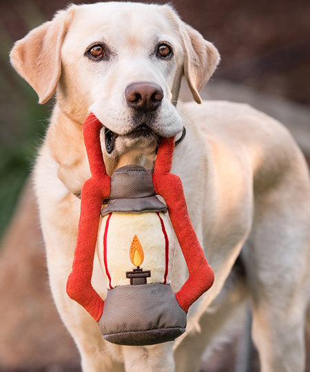 Pet-play-jouet-peluche-chien-camp-lantern