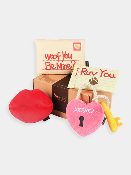     Pet-play-jouet-peluche-chien-love-bug-bouche