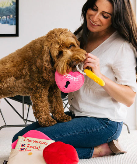    Pet-play-jouet-peluche-chien-love-cadenas-coeur