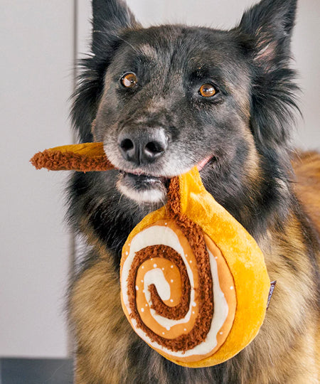    Pet-play-jouet-peluche-chien-pup-cup-cafe-Cinna-bone