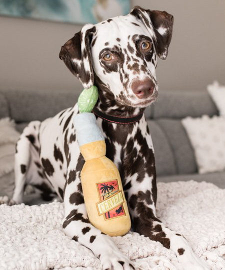 Pet-play-jouet-peluche-chien-tropical-paradise-canice-cerveza