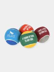     Pet-play-lot-4-balle-tennis-pour-chien