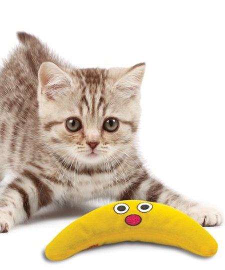 Jouet stimulant pour chat a herbe à chat