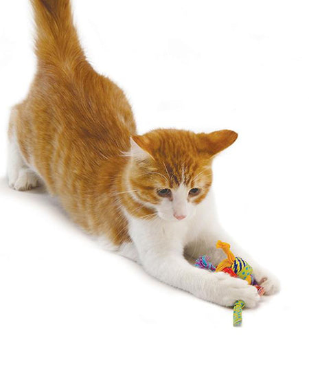 Petstages-jouet-pour-chat-balle-laine