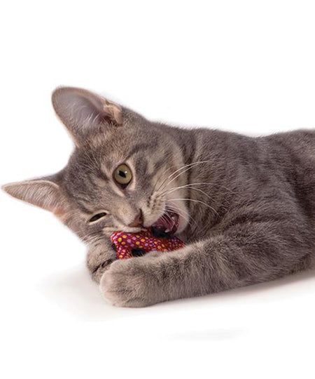 Petstages-jouet-pour-chat-pretzel