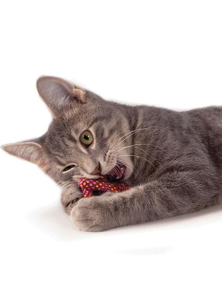 Petstages-jouet-pour-chat-pretzel