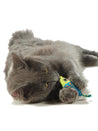 Petstages-jouet-pour-chat-souris-herbe-a-chat-catnip-chew-mice
