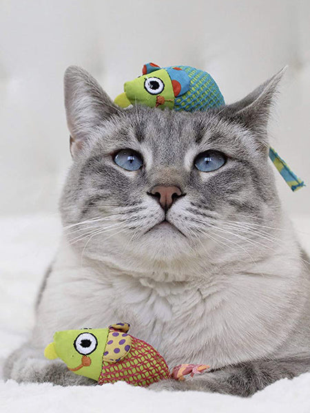Catnip – Votre chat est heureux ! Qualité supérieure : seulement la  meilleure menthe pour votre petit trésor (coupé, séché) Convient comme  snack pour chat ou jouet pour chat : : Animalerie