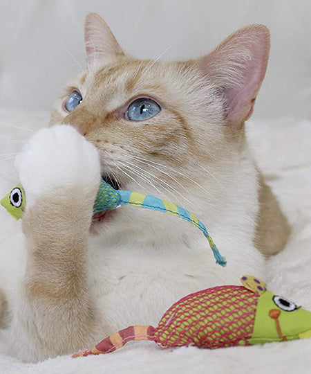 Petstages-jouet-pour-chat-souris-herbe-a-chat-catnip-chew-mice