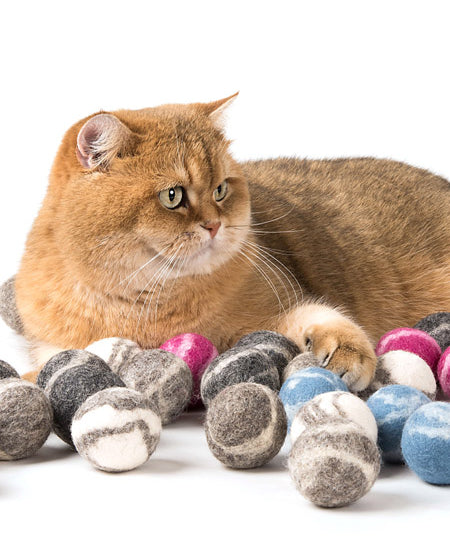 Profeline-jouet-pour-chat-herbe-a-chat-catnip-balle-laine-color-mix
