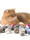 Profeline-jouet-pour-chat-herbe-a-chat-catnip-balle-laine-color-mix