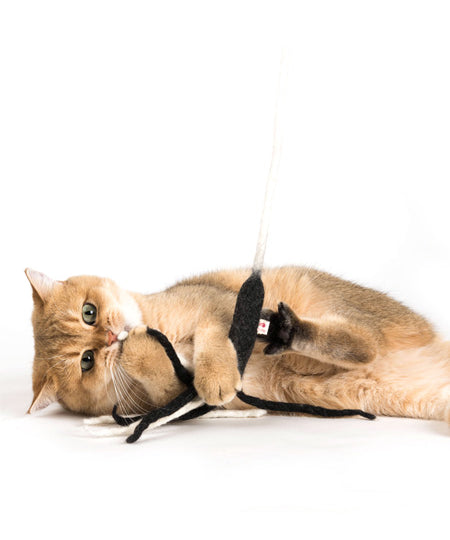 Profeline-jouet-pour-chat-herbe-a-chat-catnip-canne-a-peche