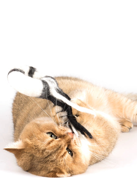 Profeline-jouet-pour-chat-herbe-a-chat-catnip-donatcomet-laine