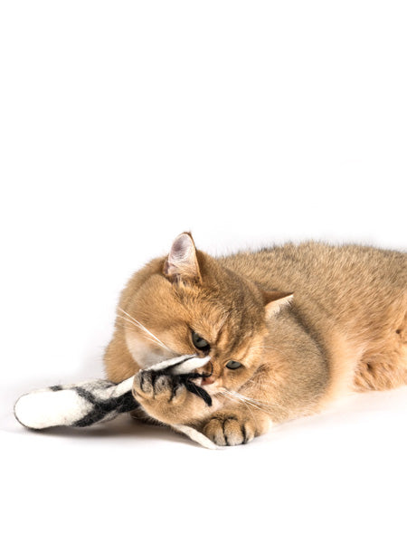 Profeline-jouet-pour-chat-herbe-a-chat-catnip-donatcomet-laine