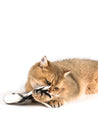 Profeline-jouet-pour-chat-herbe-a-chat-catnip-donatcomet-laine