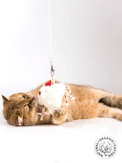 Profeline-jouet-pour-chat-herbe-a-chat-catnip