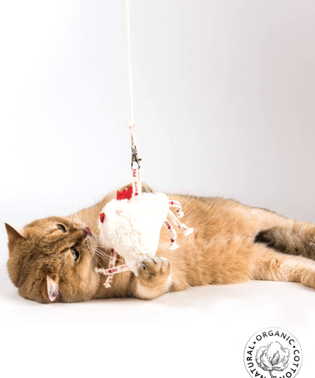 Profeline-jouet-pour-chat-herbe-a-chat-catnip