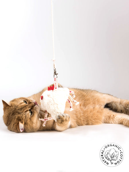 Profeline-jouet-pour-chat-herbe-a-chat-catnip