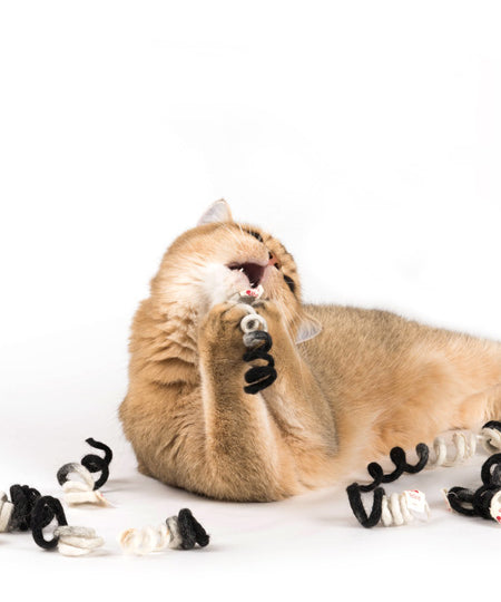 Profeline-jouet-pour-chat-pure-laine-spirale