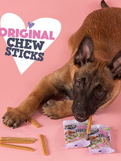   Smoofl-batonnet-glace-pour-chien-friandises