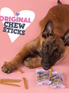    Smoofl-batonnet-glace-pour-chien-friandises