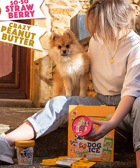       Smoofl-glace-chien-starter-kit-pack-petit-chien