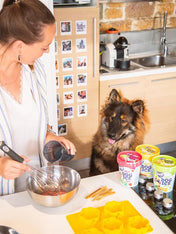        Smoofl-moule-pour-glace-pour-chiot