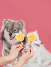        Smoofl-moule-pour-glace-pour-chiot