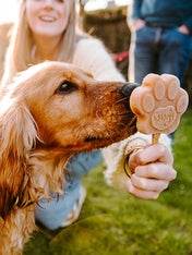Smoofl-glace-pour-chien-beurre-de-cacahuete