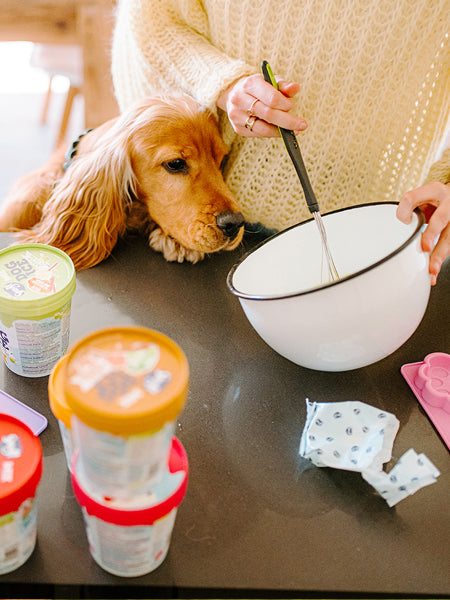 Smoofl-glace-pour-chien-beurre-de-cacahuete